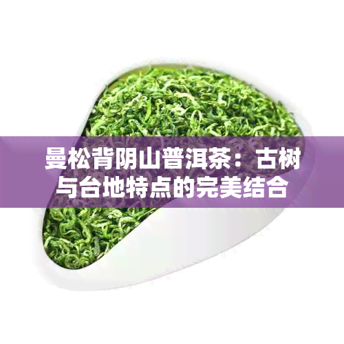 曼松背阴山普洱茶：古树与台地特点的完美结合