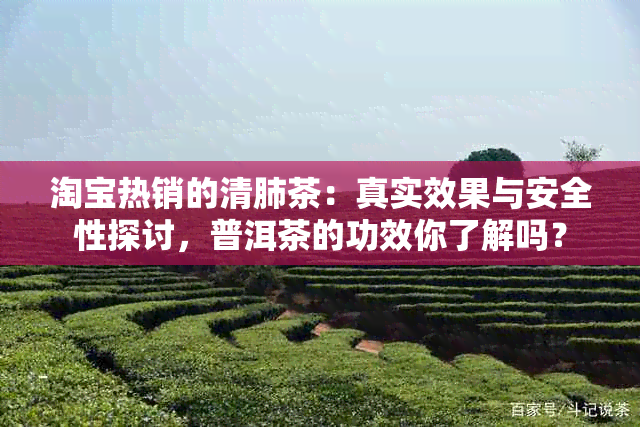 淘宝热销的清肺茶：真实效果与安全性探讨，普洱茶的功效你了解吗？