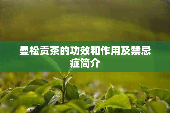 曼松贡茶的功效和作用及禁忌症简介