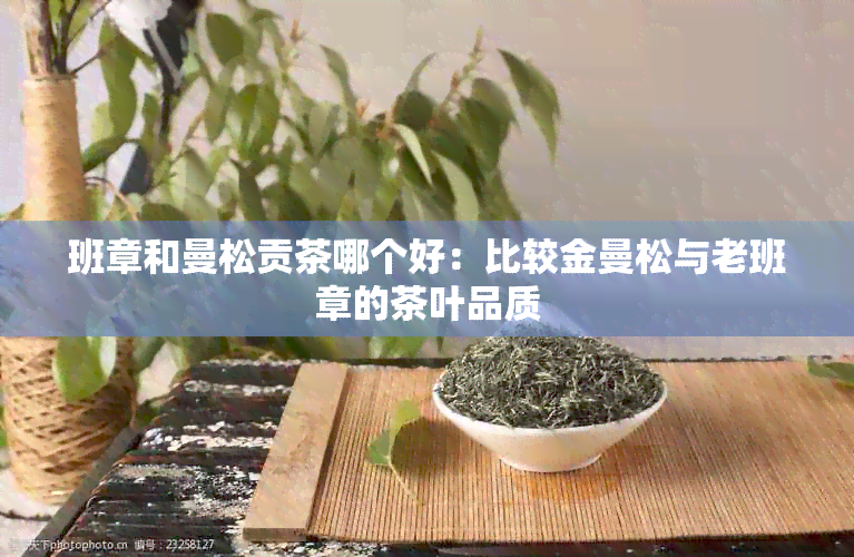 班章和曼松贡茶哪个好：比较金曼松与老班章的茶叶品质