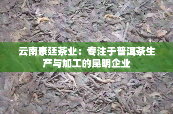 云南豪廷茶业：专注于普洱茶生产与加工的昆明企业