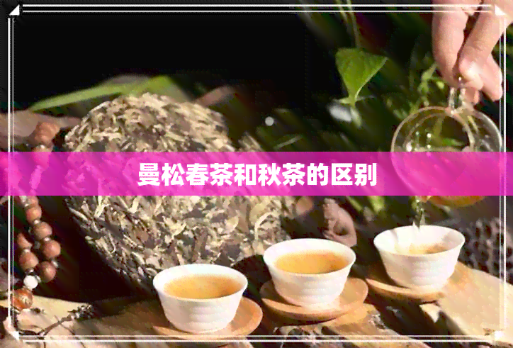 曼松春茶和秋茶的区别