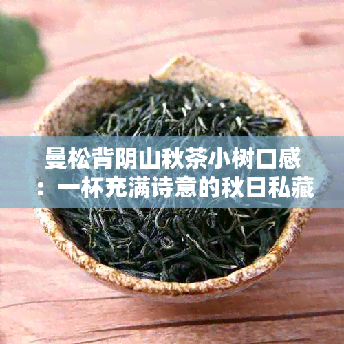 曼松背阴山秋茶小树口感：一杯充满诗意的秋日私藏