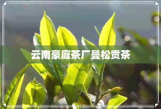 云南豪庭茶厂曼松贡茶