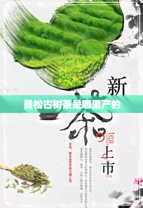 曼松古树茶是哪里产的