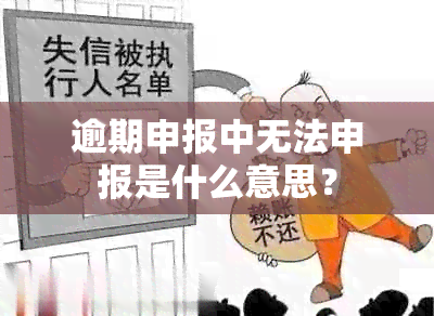 逾期申报中无法申报是什么意思？