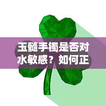 玉髓手镯是否对水敏感？如何正确保养和清洁玉髓手镯？