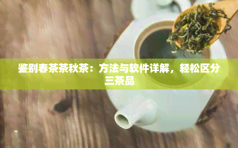 鉴别春茶茶秋茶：方法与软件详解，轻松区分三茶品