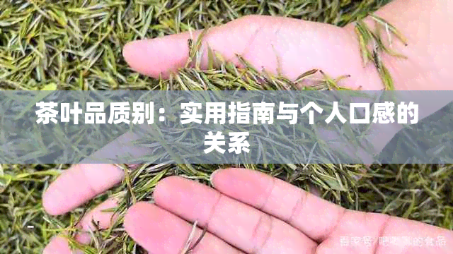 茶叶品质别：实用指南与个人口感的关系