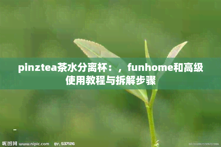 pinztea茶水分离杯：，funhome和高级使用教程与拆解步骤