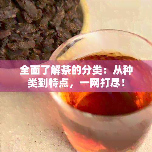 全面了解茶的分类：从种类到特点，一网打尽！