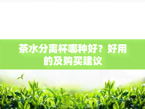 茶水分离杯哪种好？好用的及购买建议