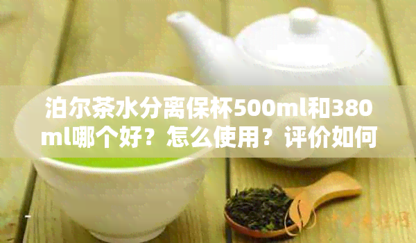 泊尔茶水分离保杯500ml和380ml哪个好？怎么使用？评价如何？