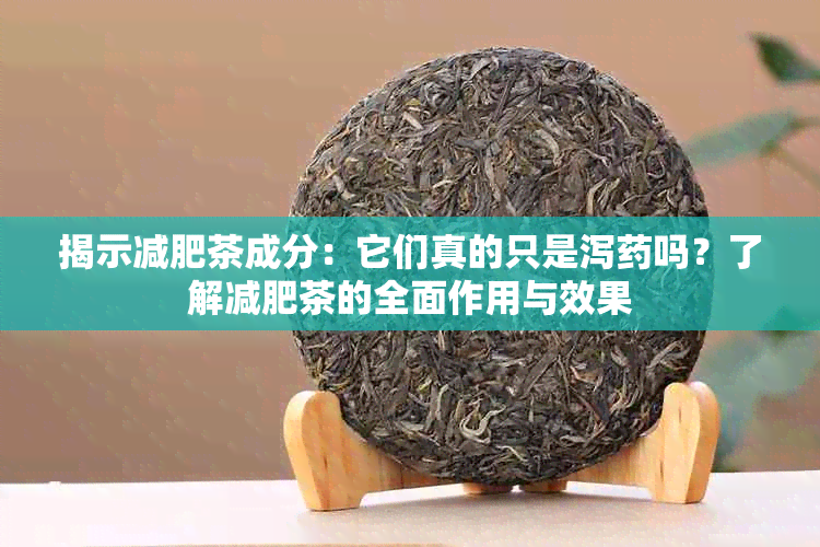 揭示减肥茶成分：它们真的只是泻吗？了解减肥茶的全面作用与效果