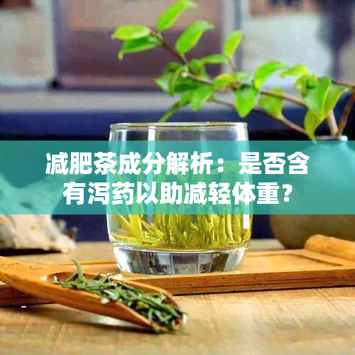 减肥茶成分解析：是否含有泻以助减轻体重？