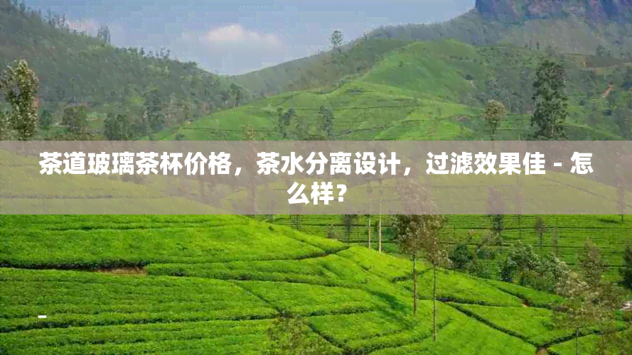 茶道玻璃茶杯价格，茶水分离设计，过滤效果佳 - 怎么样？