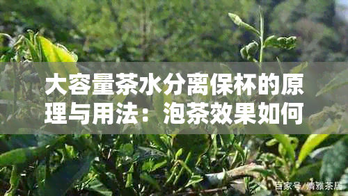 大容量茶水分离保杯的原理与用法：泡茶效果如何？