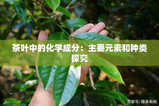 茶叶中的化学成分：主要元素和种类探究