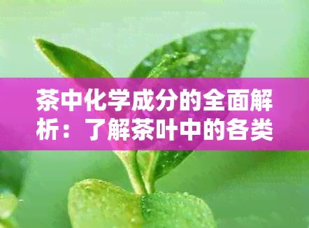 茶中化学成分的全面解析：了解茶叶中的各类有机物质及其作用