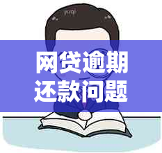 网贷逾期还款问题解决策略