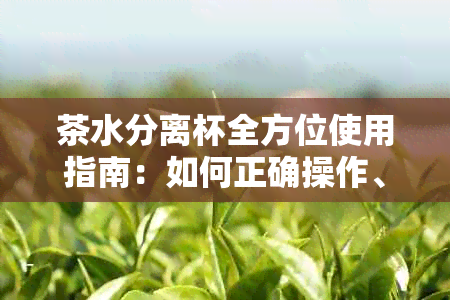 茶水分离杯全方位使用指南：如何正确操作、清洁和保养，解答常见问题