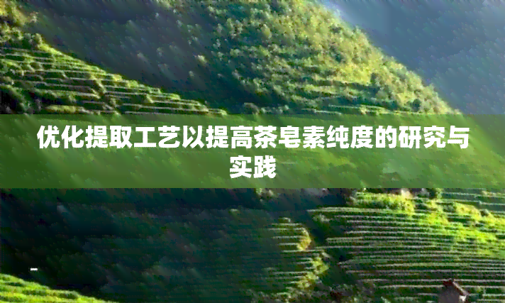 优化提取工艺以提高茶皂素纯度的研究与实践