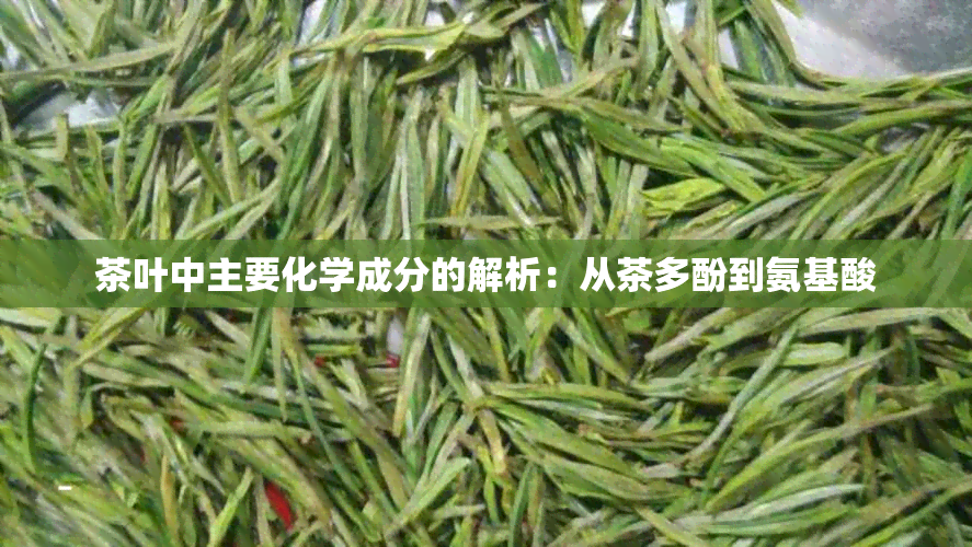 茶叶中主要化学成分的解析：从茶多酚到氨基酸