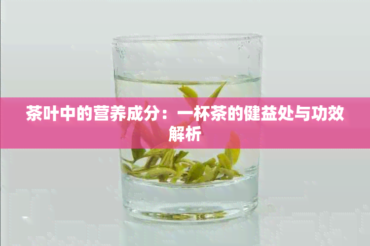 茶叶中的营养成分：一杯茶的健益处与功效解析