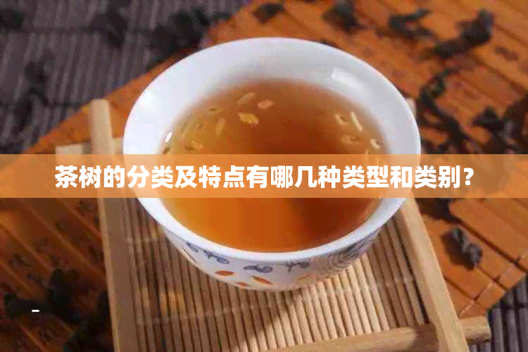 茶树的分类及特点有哪几种类型和类别？