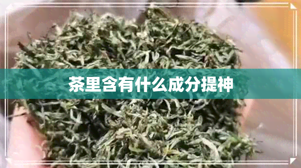 茶里含有什么成分提神