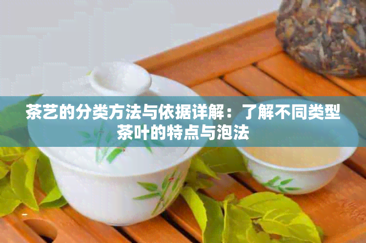 茶艺的分类方法与依据详解：了解不同类型茶叶的特点与泡法