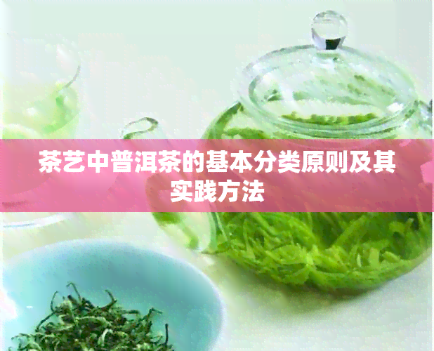 茶艺中普洱茶的基本分类原则及其实践方法