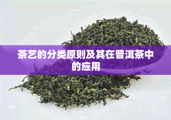 茶艺的分类原则及其在普洱茶中的应用