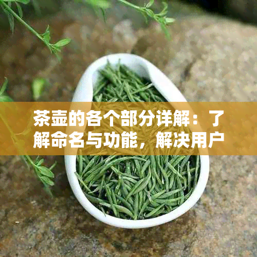 茶壶的各个部分详解：了解命名与功能，解决用户相关疑问