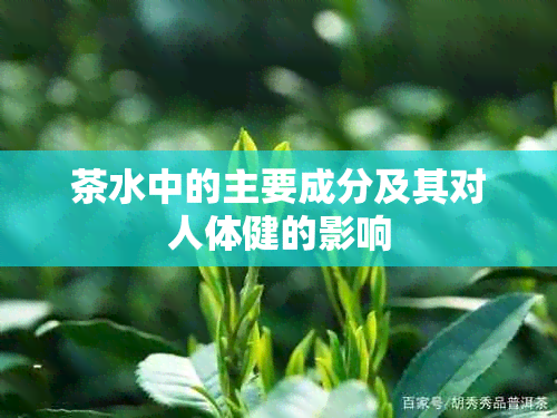 茶水中的主要成分及其对人体健的影响