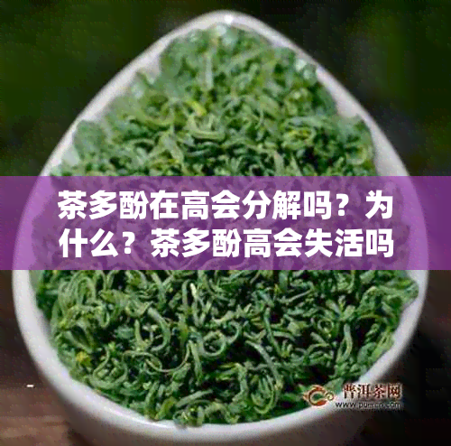 茶多酚在高会分解吗？为什么？茶多酚高会失活吗？