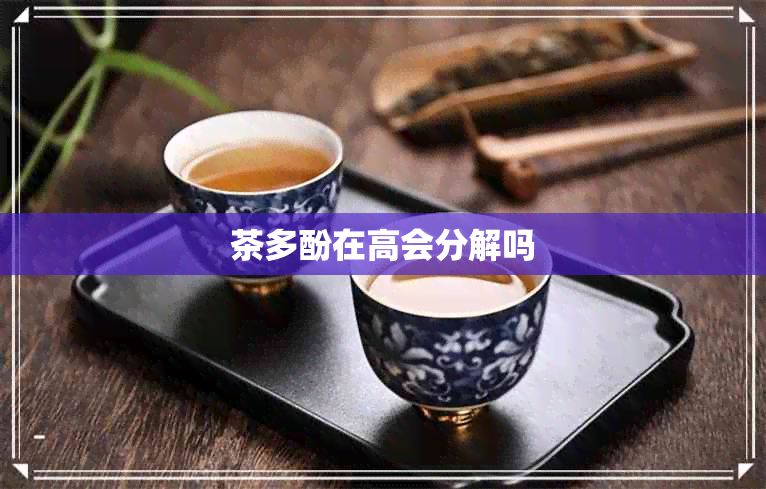 茶多酚在高会分解吗