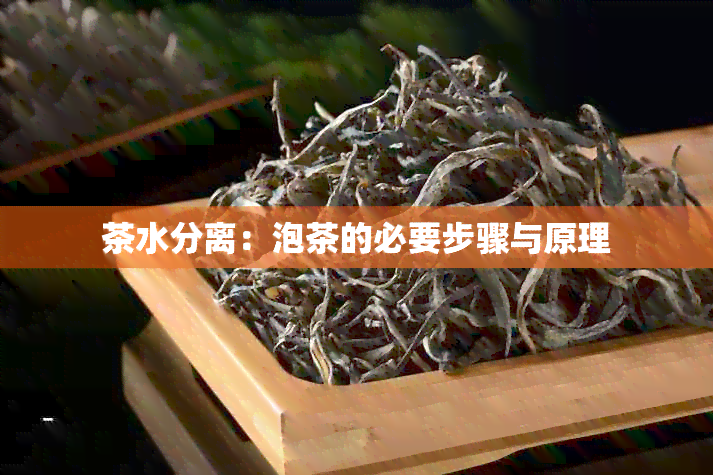 茶水分离：泡茶的必要步骤与原理