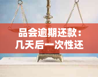 品会逾期还款：几天后一次性还清所有款项的影响与应对策略