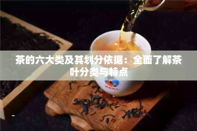 茶的六大类及其划分依据：全面了解茶叶分类与特点