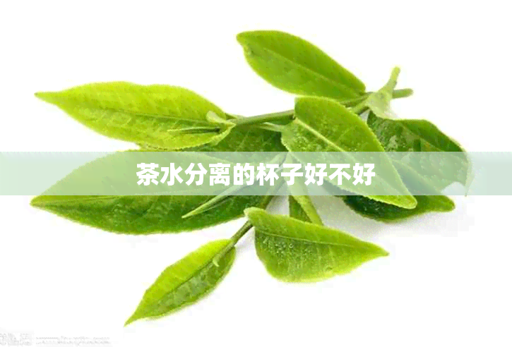 茶水分离的杯子好不好