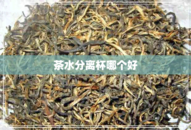 茶水分离杯哪个好