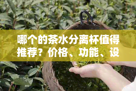 哪个的茶水分离杯值得推荐？价格、功能、设计、材质等方面的优缺点分析