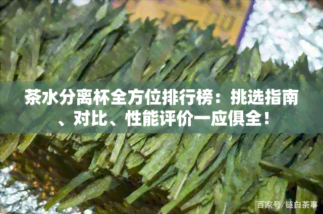 茶水分离杯全方位排行榜：挑选指南、对比、性能评价一应俱全！