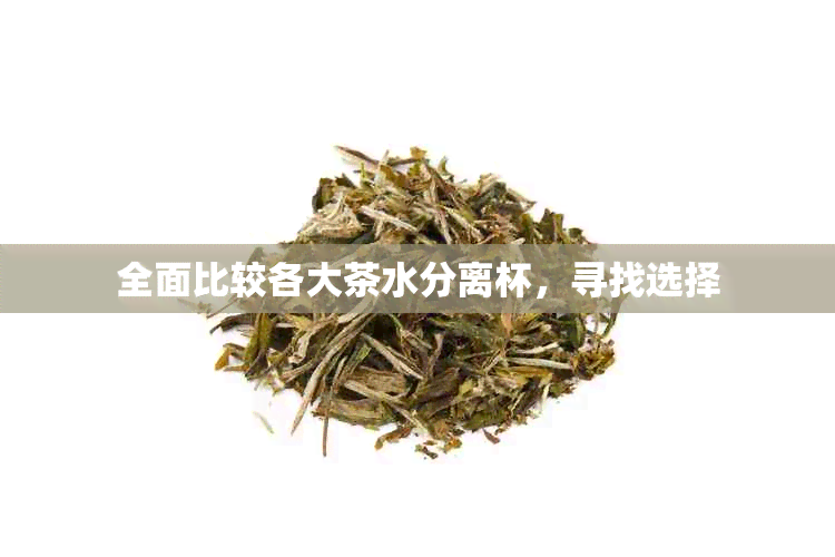 全面比较各大茶水分离杯，寻找选择