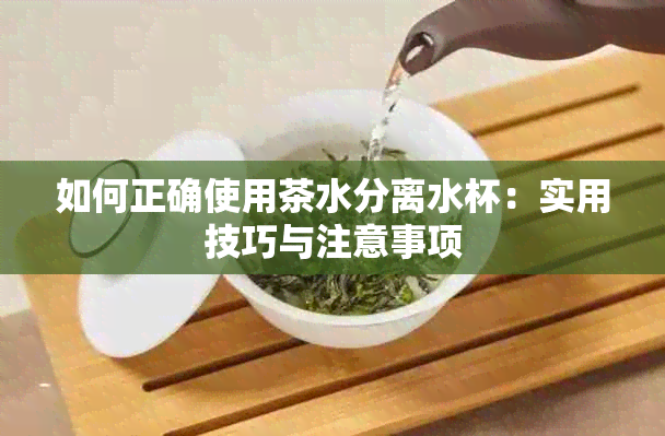 如何正确使用茶水分离水杯：实用技巧与注意事项