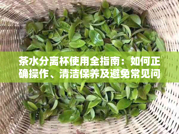 茶水分离杯使用全指南：如何正确操作、清洁保养及避免常见问题