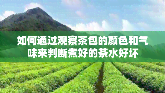 如何通过观察茶包的颜色和气味来判断煮好的茶水好坏