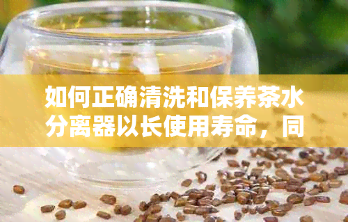 如何正确清洗和保养茶水分离器以长使用寿命，同时泡出更美味的普洱茶？