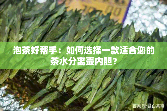 泡茶好帮手：如何选择一款适合您的茶水分离壶内胆？